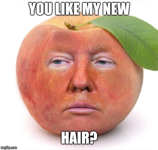 trump a peach | YOU LIKE MY NEW; HAIR? | image tagged in trump a peach | made w/ Imgflip meme maker