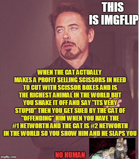 Face You Make Robert Downey Jr | THIS IS IMGFLIP; WHEN THE CAT ACTUALLY MAKES A PROFIT SELLING SCISSORS IN NEED TO CUT WITH SCISSOR BOXES AND IS THE RICHEST ANIMAL IN THE WORLD BUT YOU SHAKE IT OFF AND SAY "ITS VERY STUPID" THEN YOU GET SUED BY THE CAT OF "OFFENDING" HIM WHEN YOU HAVE THE #1 NETWORTH AND THE CAT IS #2 NETWORTH IN THE WORLD SO YOU SHOW HIM AND HE SLAPS YOU; NO HUMAN | image tagged in memes,face you make robert downey jr | made w/ Imgflip meme maker