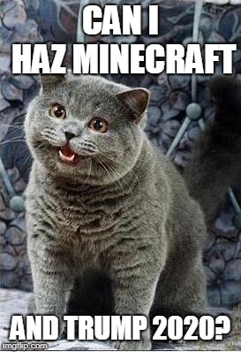 I can has cheezburger cat | CAN I HAZ MINECRAFT AND TRUMP 2020? | image tagged in i can has cheezburger cat | made w/ Imgflip meme maker