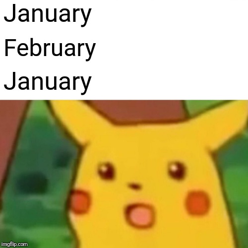 Surprised Pikachu Meme | January; February; January | image tagged in memes,surprised pikachu | made w/ Imgflip meme maker