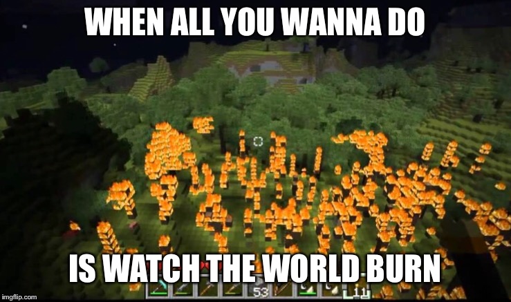 WHEN ALL YOU WANNA DO; IS WATCH THE WORLD BURN | image tagged in funny memes,minecraft | made w/ Imgflip meme maker