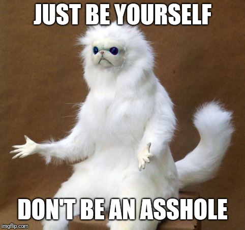 Persian white monkey | JUST BE YOURSELF; DON'T BE AN ASSHOLE | image tagged in persian white monkey | made w/ Imgflip meme maker