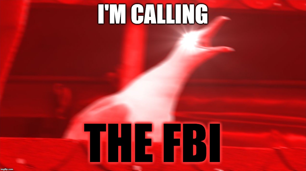 Angry Seagull | I'M CALLING THE FBI | image tagged in angry seagull | made w/ Imgflip meme maker