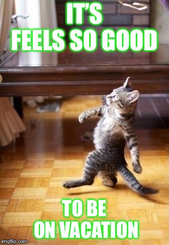 Cool Cat Stroll Meme | IT’S FEELS SO GOOD; TO BE ON VACATION | image tagged in memes,cool cat stroll | made w/ Imgflip meme maker