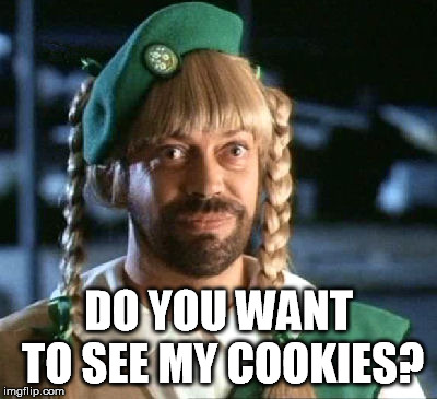 girl scout scam | DO YOU WANT TO SEE MY COOKIES? | image tagged in girl scout scam | made w/ Imgflip meme maker