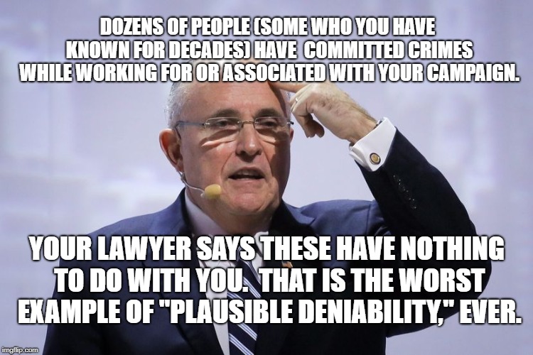 Rudy Giuliani | DOZENS OF PEOPLE (SOME WHO YOU HAVE KNOWN FOR DECADES) HAVE  COMMITTED CRIMES WHILE WORKING FOR OR ASSOCIATED WITH YOUR CAMPAIGN. YOUR LAWYER SAYS THESE HAVE NOTHING TO DO WITH YOU.  THAT IS THE WORST EXAMPLE OF "PLAUSIBLE DENIABILITY," EVER. | image tagged in rudy giuliani | made w/ Imgflip meme maker