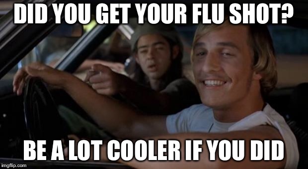 It'd Be A Lot Cooler If You Did | DID YOU GET YOUR FLU SHOT? BE A LOT COOLER IF YOU DID | image tagged in it'd be a lot cooler if you did | made w/ Imgflip meme maker