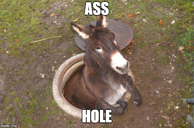 Ass Hole | ASS; HOLE | image tagged in asshole | made w/ Imgflip meme maker