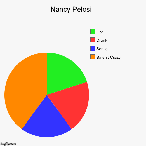 Who is Nancy Pelosi? A scientific look. | Nancy Pelosi  | Batshit Crazy, Senile, Drunk, Liar | image tagged in funny,pie charts,politics,nancy pelosi,liar,congress | made w/ Imgflip chart maker