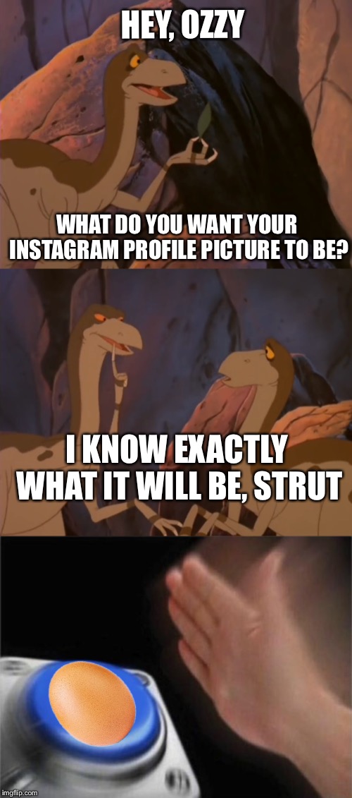 HEY, OZZY; WHAT DO YOU WANT YOUR INSTAGRAM PROFILE PICTURE TO BE? I KNOW EXACTLY WHAT IT WILL BE, STRUT | image tagged in memes,blank nut button | made w/ Imgflip meme maker
