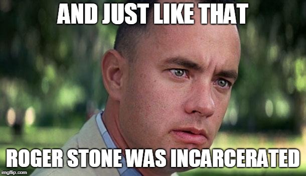 Forest Gump | AND JUST LIKE THAT; ROGER STONE WAS INCARCERATED | image tagged in forest gump | made w/ Imgflip meme maker