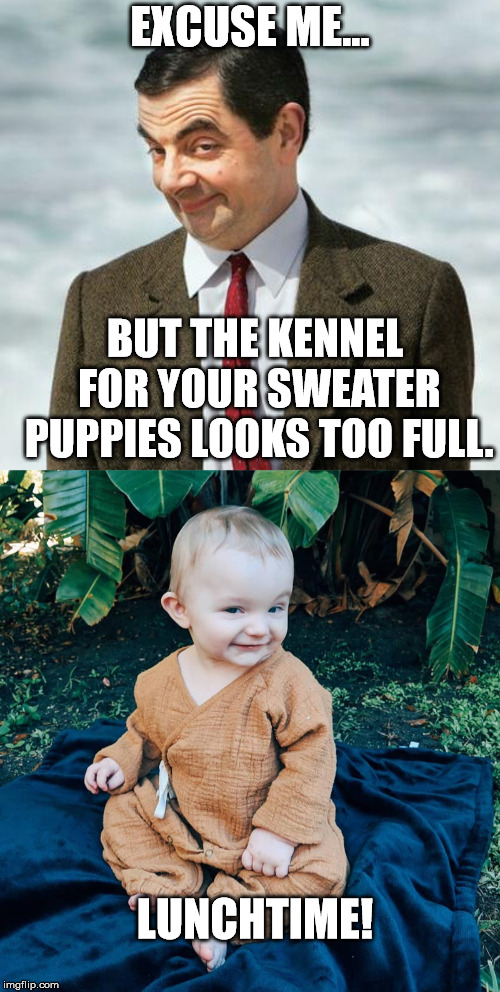Baby Bean. | EXCUSE ME... BUT THE KENNEL FOR YOUR SWEATER PUPPIES LOOKS TOO FULL. LUNCHTIME! | image tagged in mr bean,big boobs | made w/ Imgflip meme maker