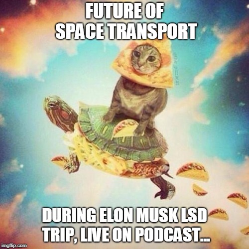 Space Pizza Cat Turtle Tacos | FUTURE OF SPACE TRANSPORT; DURING ELON MUSK LSD TRIP, LIVE ON PODCAST... | image tagged in space pizza cat turtle tacos | made w/ Imgflip meme maker