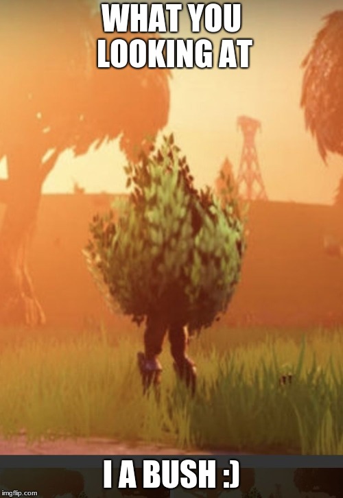Fortnite bush | WHAT YOU LOOKING AT; I A BUSH :) | image tagged in fortnite bush | made w/ Imgflip meme maker