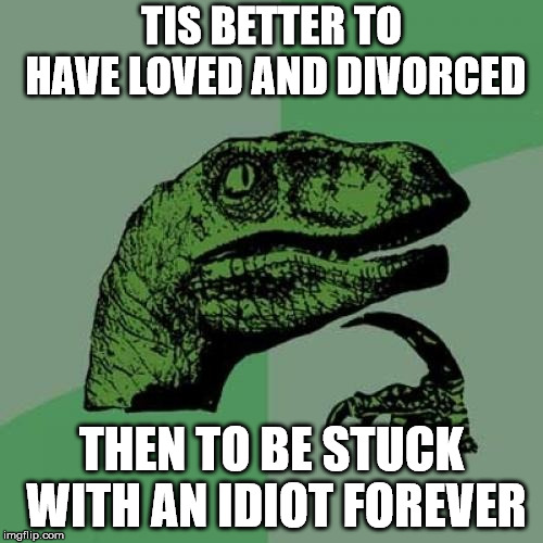 Philosoraptor Meme | TIS BETTER TO HAVE LOVED AND DIVORCED; THEN TO BE STUCK WITH AN IDIOT FOREVER | image tagged in memes,philosoraptor | made w/ Imgflip meme maker