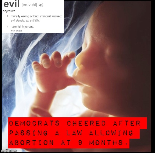Abortion at 9 months is evil | image tagged in memes,abortion,prolife,baby,new york,planned parenthood | made w/ Imgflip meme maker