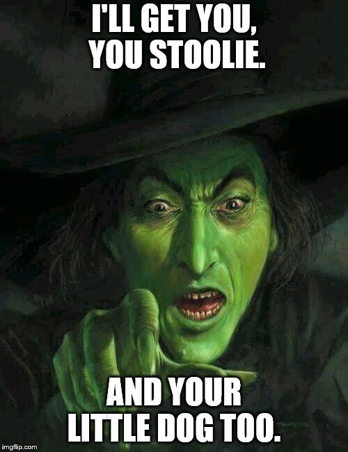 I'll Get You, You Stoolie. And Your Little Dog Too.  | I'LL GET YOU, YOU STOOLIE. AND YOUR LITTLE DOG TOO. | image tagged in the wizard of oz,roger stone,randy credico,witness tampering,obstruction of justice | made w/ Imgflip meme maker