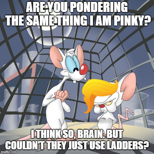 pinky and brain | ARE YOU PONDERING THE SAME THING I AM PINKY? I THINK SO, BRAIN. BUT COULDN'T THEY JUST USE LADDERS? | image tagged in pinky and brain | made w/ Imgflip meme maker