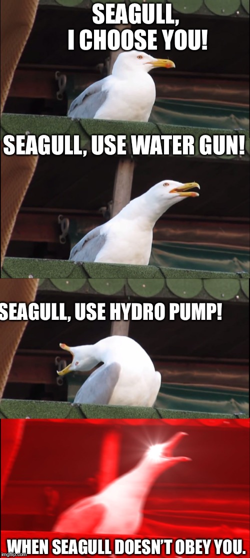 Inhaling Seagull Meme | SEAGULL, I CHOOSE YOU! SEAGULL, USE WATER GUN! SEAGULL, USE HYDRO PUMP! WHEN SEAGULL DOESN’T OBEY YOU. | image tagged in memes,inhaling seagull | made w/ Imgflip meme maker