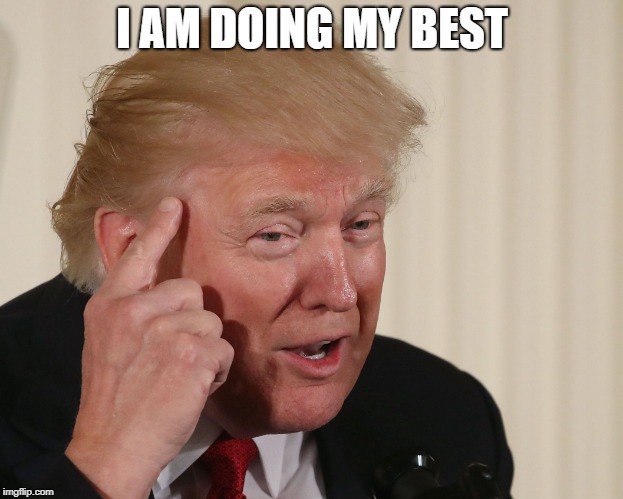 Trump Thinking | I AM DOING MY BEST | image tagged in trump thinking | made w/ Imgflip meme maker