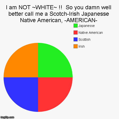I am NOT ~WHITE~ !!  So you damn well better call me a Scotch-Irish Japanesse Native American, -AMERICAN- | Irish, Scottish, Native American | image tagged in funny,pie charts | made w/ Imgflip chart maker