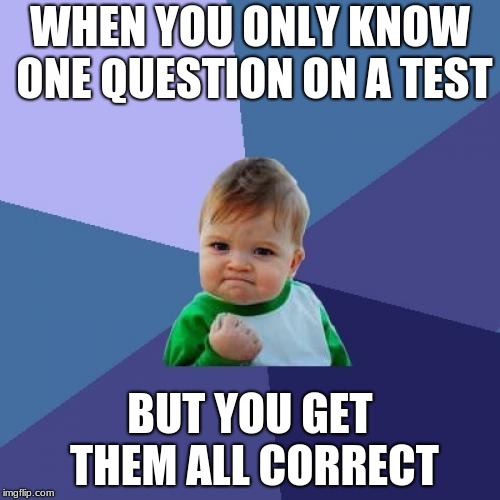 Success Kid | WHEN YOU ONLY KNOW ONE QUESTION ON A TEST; BUT YOU GET THEM ALL CORRECT | image tagged in memes,success kid | made w/ Imgflip meme maker