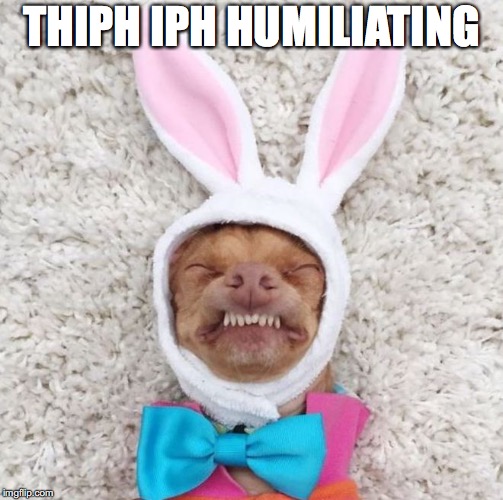 Tuna Dog | THIPH IPH HUMILIATING | image tagged in tuna dog | made w/ Imgflip meme maker