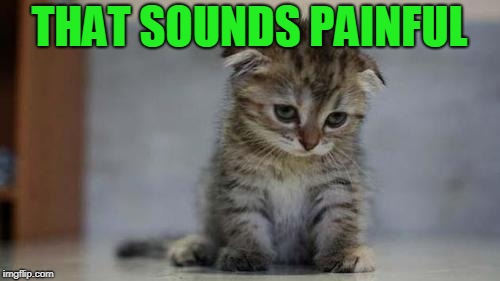 Sad kitten | THAT SOUNDS PAINFUL | image tagged in sad kitten | made w/ Imgflip meme maker