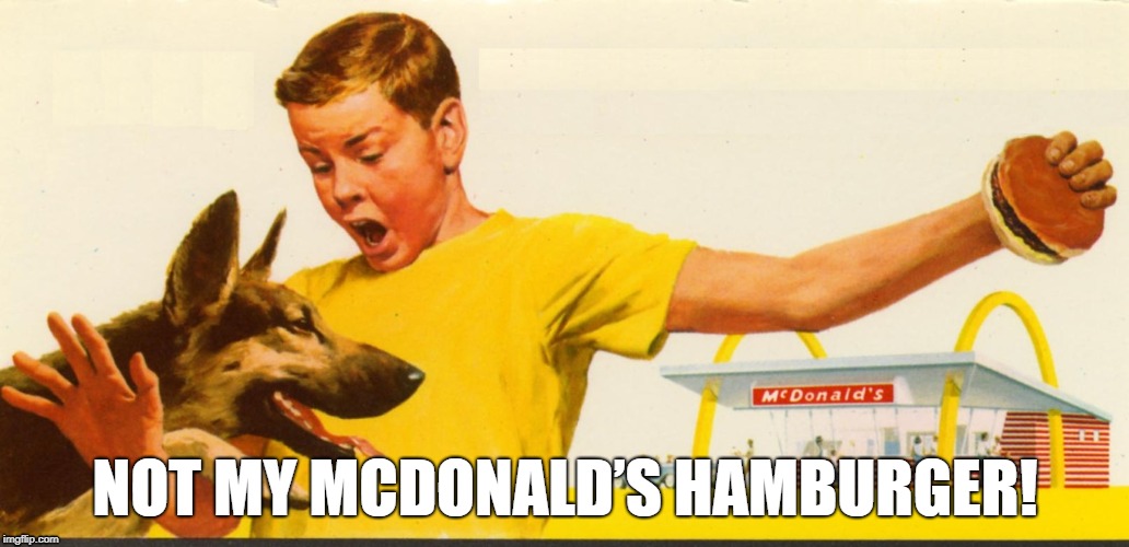 Not My McDonald’s Hamburger! | NOT MY MCDONALD’S HAMBURGER! | image tagged in dog,bad dog,boy,hamburger,mcdonald's,mcdonalds | made w/ Imgflip meme maker