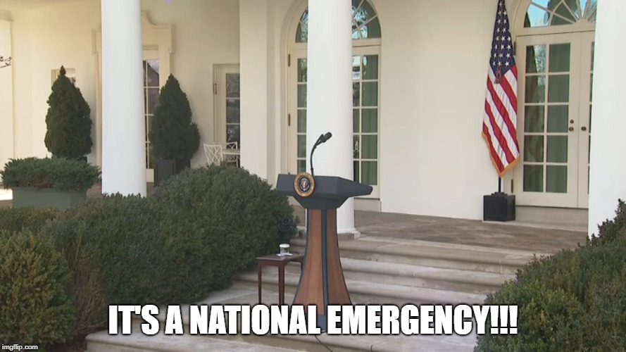 National Emergency | IT'S A NATIONAL EMERGENCY!!! | image tagged in memes,politics,donald trump | made w/ Imgflip meme maker