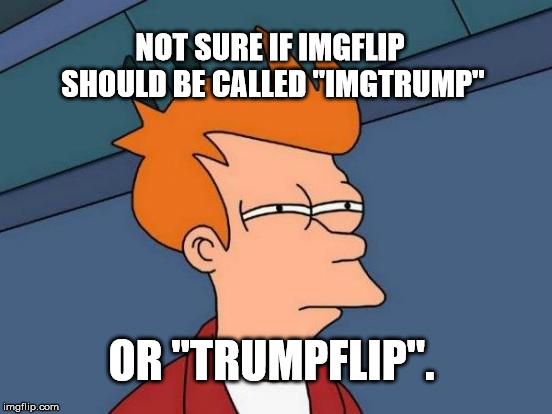 No Other Opinions Allowed (Brace Yourselves) | NOT SURE IF IMGFLIP SHOULD BE CALLED "IMGTRUMP"; OR "TRUMPFLIP". | image tagged in memes,futurama fry,trump,politics,imgflip | made w/ Imgflip meme maker