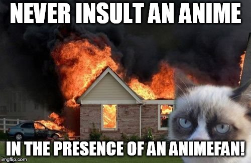 Burn Kitty Meme | NEVER INSULT AN ANIME; IN THE PRESENCE OF AN ANIMEFAN! | image tagged in memes,burn kitty,grumpy cat | made w/ Imgflip meme maker