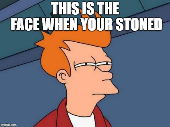 Futurama Fry Meme | THIS IS THE FACE WHEN YOUR STONED | image tagged in memes,futurama fry | made w/ Imgflip meme maker