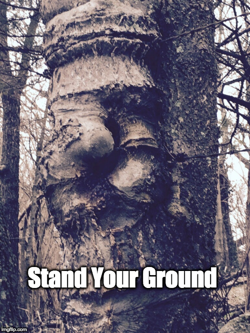Stand Your Ground | image tagged in freespeech | made w/ Imgflip meme maker