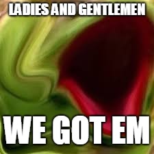 Kermit | LADIES AND GENTLEMEN; WE GOT EM | image tagged in kermit | made w/ Imgflip meme maker