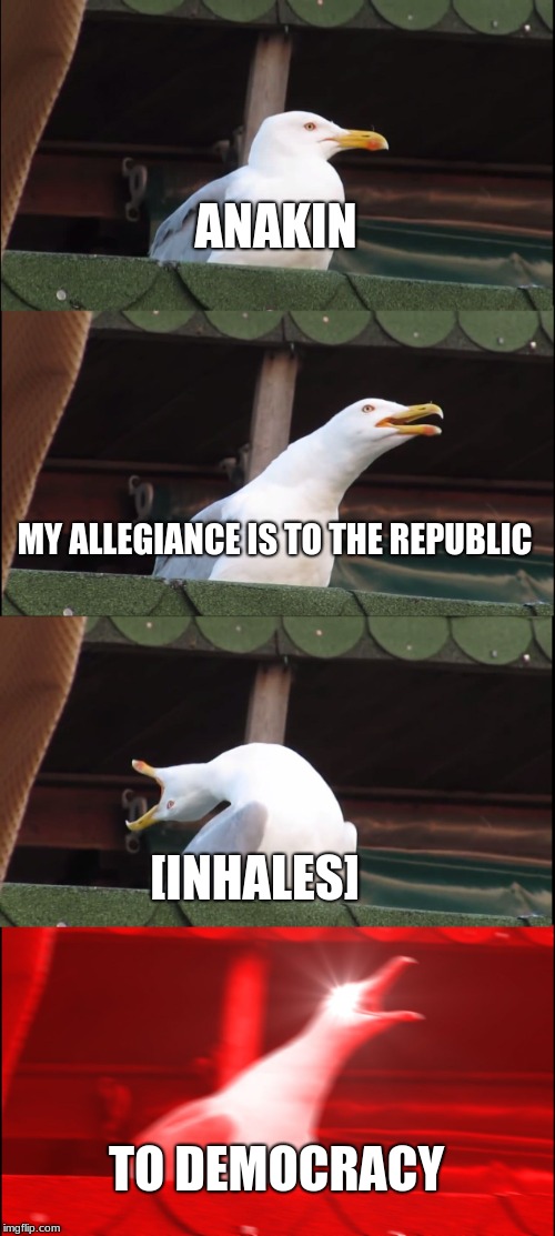 Inhaling Seagull Meme | ANAKIN; MY ALLEGIANCE IS TO THE REPUBLIC; [INHALES]; TO DEMOCRACY | image tagged in memes,inhaling seagull | made w/ Imgflip meme maker