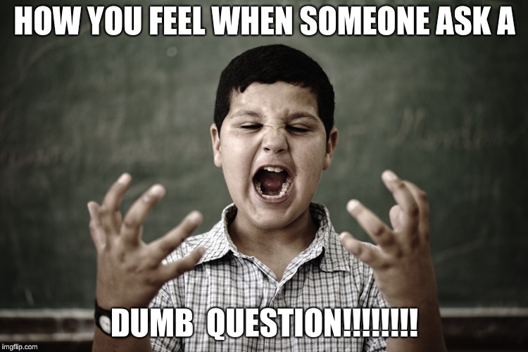 Angry students | HOW YOU FEEL WHEN SOMEONE ASK A; DUMB  QUESTION!!!!!!!! | image tagged in funny memes | made w/ Imgflip meme maker