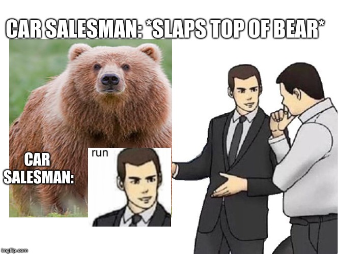 Car Salesman Slaps Hood Meme | CAR SALESMAN: *SLAPS TOP OF BEAR*; CAR SALESMAN: | image tagged in memes,car salesman slaps hood | made w/ Imgflip meme maker