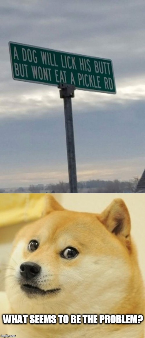 And? | WHAT SEEMS TO BE THE PROBLEM? | image tagged in memes,doge,butt pickle,ass | made w/ Imgflip meme maker