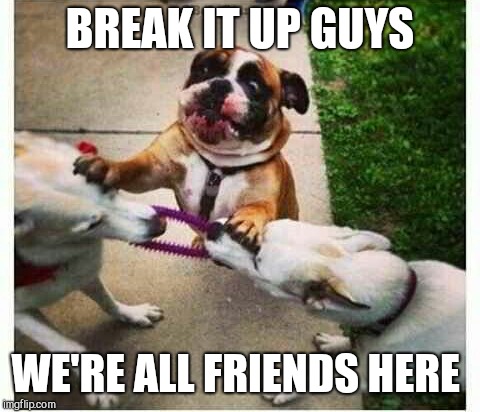 No idea | BREAK IT UP GUYS; WE'RE ALL FRIENDS HERE | image tagged in dog fight,keeping the peace,i hope that's not blood | made w/ Imgflip meme maker