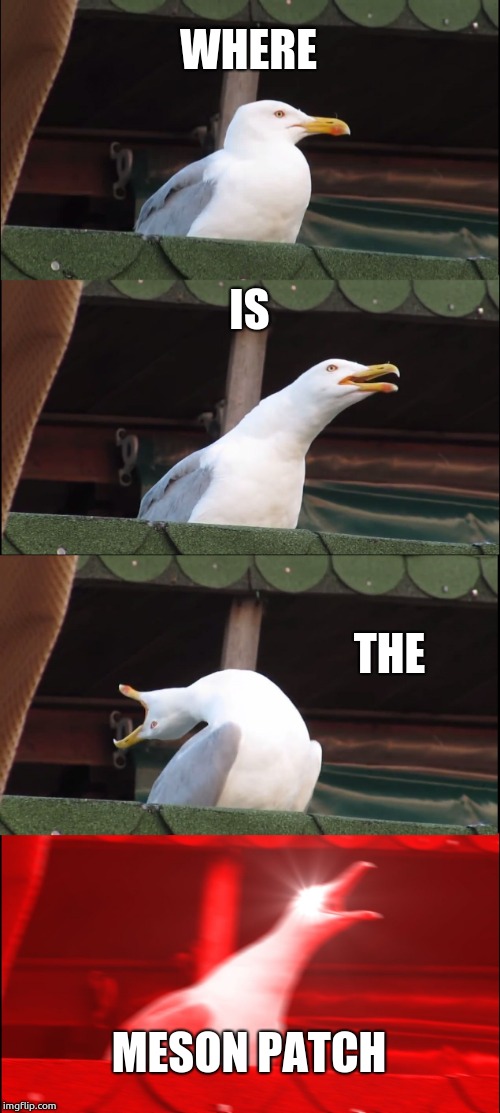 Inhaling Seagull Meme | WHERE; IS; THE; MESON PATCH | image tagged in memes,inhaling seagull | made w/ Imgflip meme maker