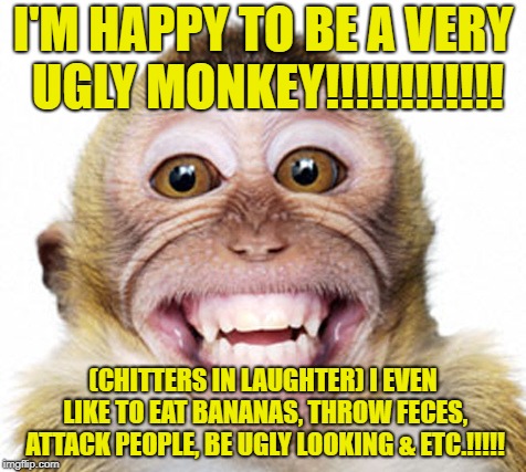 The monkey is happy to be ugly | I'M HAPPY TO BE A VERY UGLY MONKEY!!!!!!!!!!!! (CHITTERS IN LAUGHTER) I EVEN LIKE TO EAT BANANAS, THROW FECES, ATTACK PEOPLE, BE UGLY LOOKING & ETC.!!!!! | image tagged in an ugly monkey,bananas,ugly monkeys,happy | made w/ Imgflip meme maker