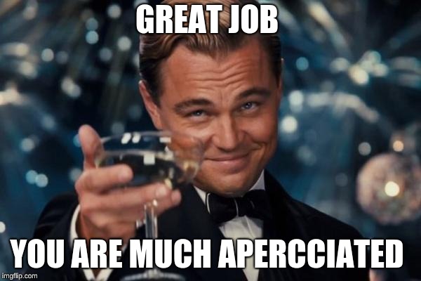 Leonardo Dicaprio Cheers Meme | GREAT JOB YOU ARE MUCH APPRECIATED | image tagged in memes,leonardo dicaprio cheers | made w/ Imgflip meme maker
