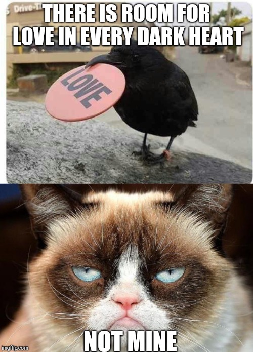 THERE IS ROOM FOR LOVE IN EVERY DARK HEART; NOT MINE | image tagged in memes,grumpy cat not amused | made w/ Imgflip meme maker