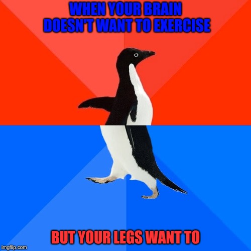 Socially Awesome Awkward Penguin | WHEN YOUR BRAIN DOESN'T WANT TO EXERCISE; BUT YOUR LEGS WANT TO | image tagged in memes,socially awesome awkward penguin | made w/ Imgflip meme maker