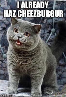 I can has cheezburger cat | I ALREADY HAZ CHEEZBURGUR | image tagged in i can has cheezburger cat | made w/ Imgflip meme maker