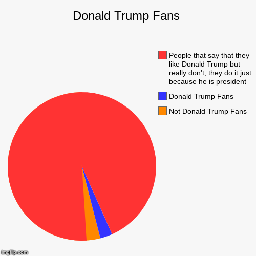 Donald Trump Fans | Not Donald Trump Fans, Donald Trump Fans, People that say that they like Donald Trump but really don't; they do it just  | image tagged in funny,pie charts | made w/ Imgflip chart maker