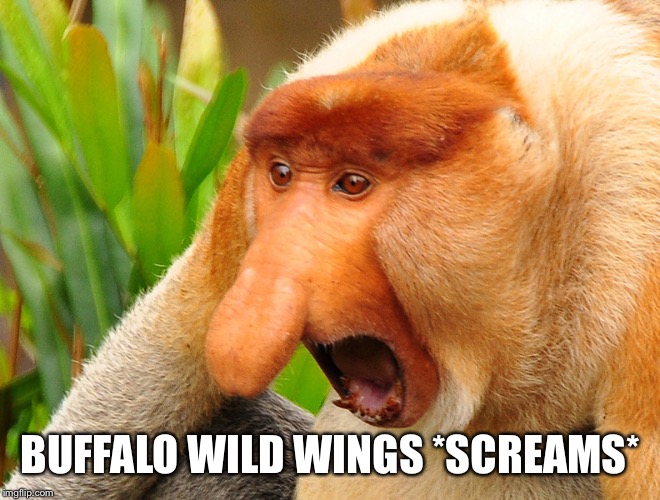 Janusz monkey screaming | BUFFALO WILD WINGS *SCREAMS* | image tagged in janusz monkey screaming | made w/ Imgflip meme maker