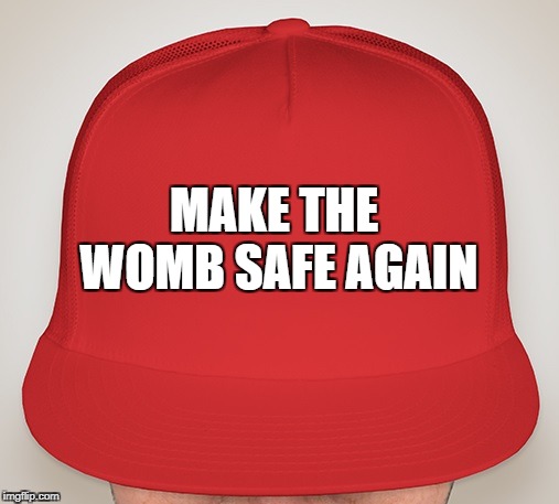 Trump Hat | MAKE THE WOMB SAFE AGAIN | image tagged in trump hat | made w/ Imgflip meme maker