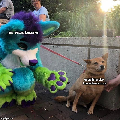 but rule 63 thighs be thicc | my sexual fantasies; everything else I do in the fandom | image tagged in dog vs furry,furry,memes | made w/ Imgflip meme maker